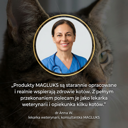 Maglus KociZdrój™